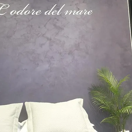 Lodore Del Mare At Beautiful Znjan Lägenhet Split