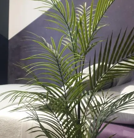 Lodore Del Mare At Beautiful Znjan Apartament Split