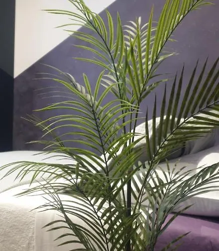 Lodore Del Mare At Beautiful Znjan Lägenhet Split