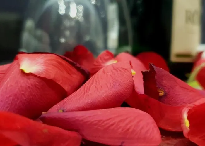 Lodore Del Mare At Beautiful Znjan